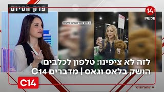 מהיום תוכלו להתקשר לחבר הכי טוב: טלפון לכלבים הושק בלאס וגאס | מדברים C14 (חדשות ערוץ 14) - התמונה מוצגת ישירות מתוך אתר האינטרנט יוטיוב. זכויות היוצרים בתמונה שייכות ליוצרה. קישור קרדיט למקור התוכן נמצא בתוך דף הסרטון מהיום תוכלו להתקשר לחבר הכי טוב: טלפון לכלבים הושק בלאס וגאס | מדברים C14 (חדשות ערוץ 14) - התמונה מוצגת ישירות מתוך אתר האינטרנט יוטיוב. זכויות היוצרים בתמונה שייכות ליוצרה. קישור קרדיט למקור התוכן נמצא בתוך דף הסרטון