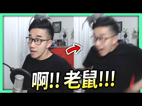有老鼠