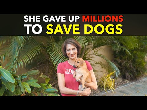 她為救狗捨棄了幾百萬美元 (She Gave Up Millions To Save Dogs)