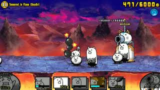 [Battle Cats] XP Colosseum bomber rush, no gacha