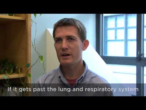 Interview with Jimmy O'Dea, PhD