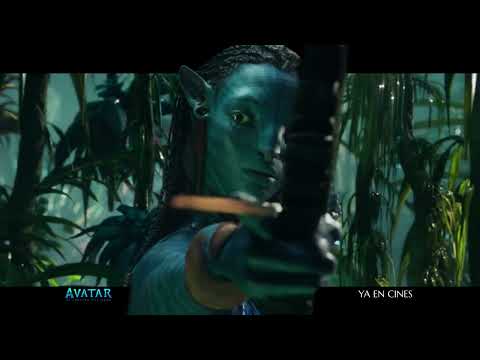 Anuncio: 'El mar te rodea'