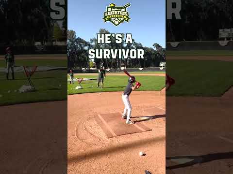 Zombies and Survivors