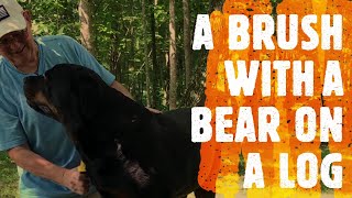 Making a Log Bench for My Camp-site on Jurgen's Journeys