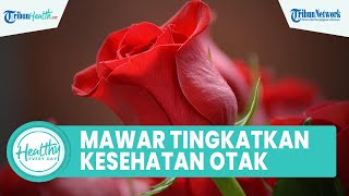 Fakta Unik! Tak Hanya untuk Kecantikan, Konsumsi Air Mawar Dapat Meningkatkan Kesehatan Otak