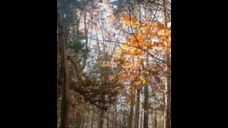 Beach Side Property modest mouse  remake