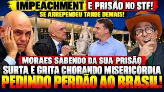 AGORA É TARDE! MORAES SURTA GRITA E PEDE PRA NÃO SER PRESO E ROGA PELO PERDÃO DA DIREITA BRASILEIRA!
