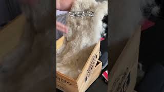 Download lagu USING HUSKY FUR TO MAKE HATS AND GLOVES! WOAH🤯 #icelandtravel mp3