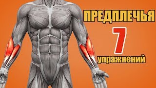 ПРЕДПЛЕЧЬЯ. 7 упражнений. Биомеханика