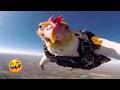 Try Not To Laugh Top100 Funniest Videos Ever Memes Epic Fails Pranks Compilation Part 8
