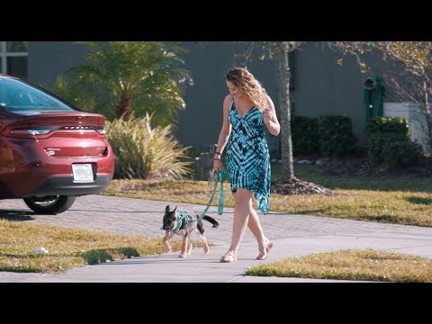 Why I became an egg donor