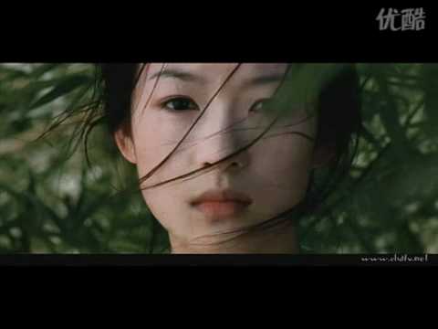 马友友，谭盾--Green Destiny -Love Theme.flv