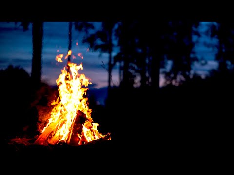 Campfire & Native Flute ★︎ Healing Sleep Music ★︎ Black Screen