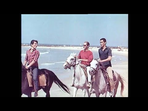 Effi Netzer אפי נצר & The Beit Rothschild Singers - Hava Nagila הבה נגילה (Israel, 1967) בית רוטשילד