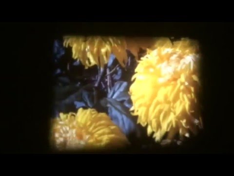 George Fields - She's Between