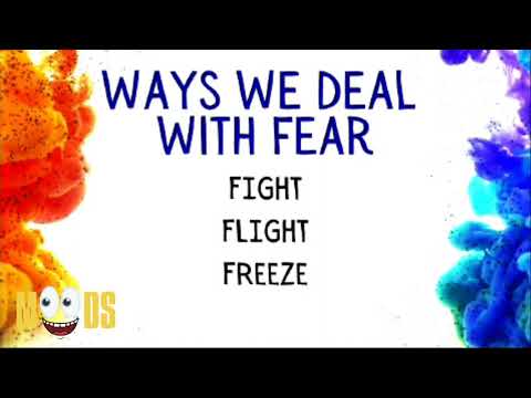 MSM Online Experience - Moods Wk 3