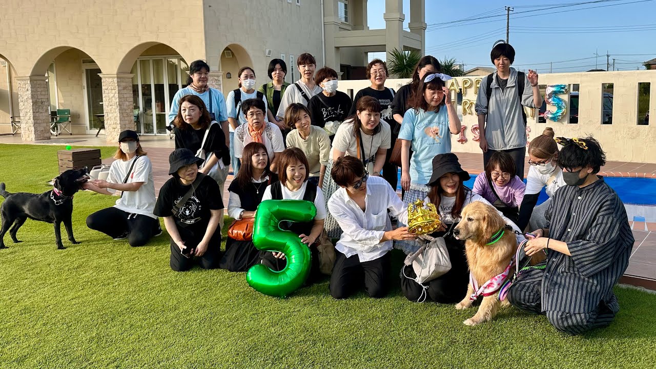 【🐸初公開】びすけ5歳の誕生日モフ会ありがとうございました！！