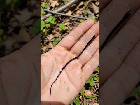 Incredible small to big transformation!