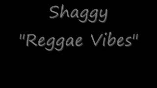 Shaggy Say Shaggy in Reggae Vibes!