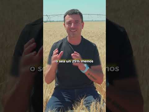 Río Segundo: Un gigante agrícola que pide gestión, no más burocracia.