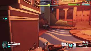 Overwatch　パッション