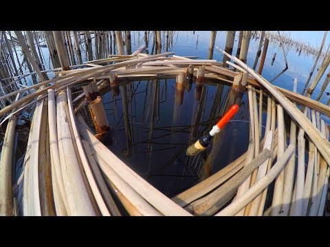 ВСЁ!!! КАРАСЬ ПОПЁР!!! Ловля карася в ОКНАХ КАМЫША