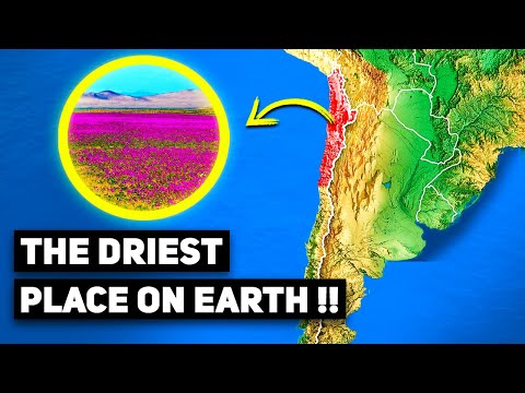 Why is the Atacama Desert the Driest Place on Earth | Geopolitics | Geopolipedia