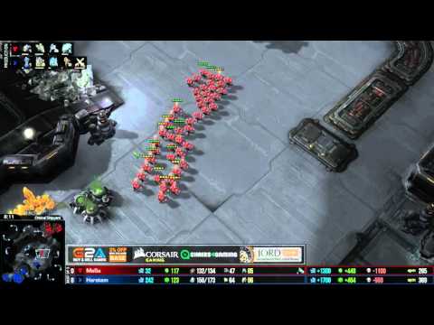 MaSa vs. Harstem G1 - TvP - #IEM Katowice