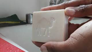 Lather Test: Traders Joes Camels Milk & Honey Soap