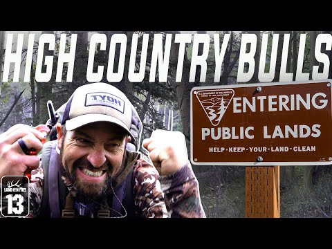 UNBELIEVABLE OPPORTUNITY from a SUBSCRIBER (Coveted New Mexico Elk Hunt)  LOF EP13