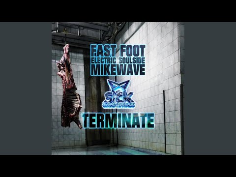 Terminate (Original Mix)