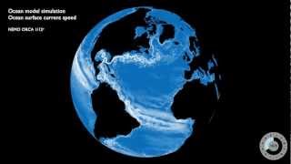 The NEMO global ocean model