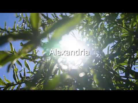 535 Calen Lane - Video 2 of 2