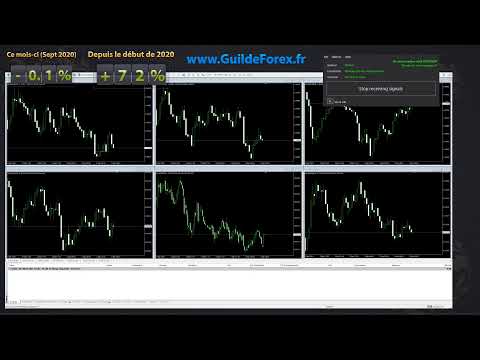 Guilde Forex Trade Copier 02 09 2020