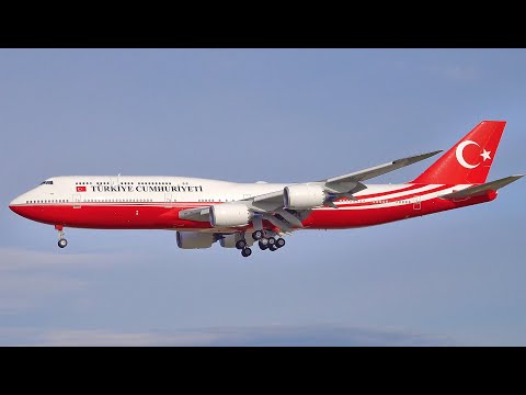 LOCKDOWN: Repatriation, Government, Special Flights, GER AirForce | Planespotting FRA