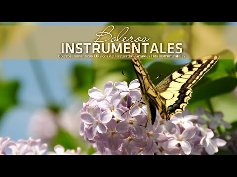 2 Horas Boleros Mas Hermosos De Tu Vida - Boleros Instrumentales Romanticos
