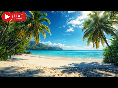 🔴 LIVE : Relaxing Beach Sounds Waves ASMR White Noise for Sleep & Deep Focus.Ocean Sounds ASMR