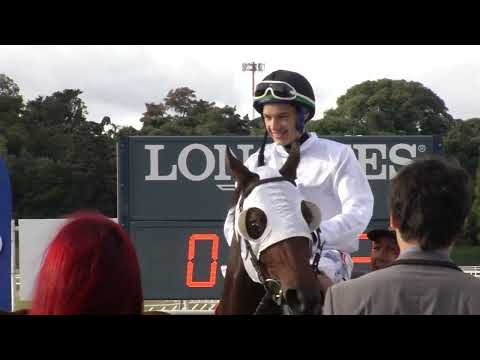 230604 c05 - TERRIBLE CHUCHO - HIPODROMO DE MAROÑAS - CLÁSICO CAMPEONES JUVENILE SPRINT