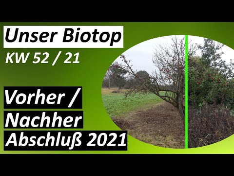 Jahresabschluß 2021 - #Biotop - KW 52 / 2021