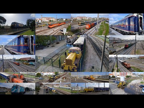 1154, Presidencial, Dupla de 2600, Máquina de via e Comboios no Entroncamento - 28/1/2025