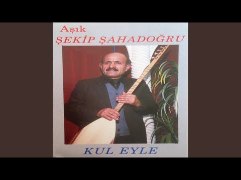 Video Yükleniyor...