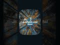 Mitwa Song Lyrics Shorts Music Viral Song Trending Fyp Lyrics Mitwa