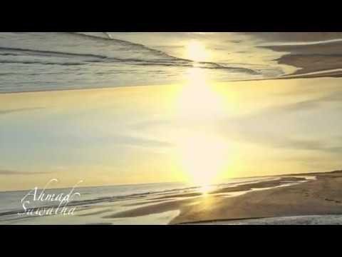 Advanced World Flip Effect In Adobe Premiere Pro (Parallel Effect)