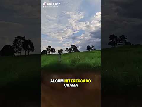 🌾 Sítio à venda no Vale do Anari – Rondônia