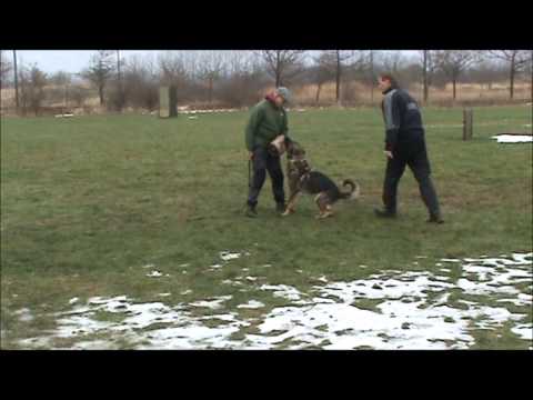 Jabina Nolan Protection