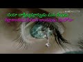 Devudamma Devudu Jivamugala Devudu దేవుడమ్మ దేవుడు జీవము గ�