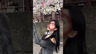 Download lagu NEVER touch Japan's Cherry Blossoms... 💔🌸 mp3 Download lagu NEVER touch Japan's Cherry Blossoms... 💔🌸 mp3