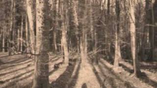 When I was in my Prime - A walk in the wood - TWO