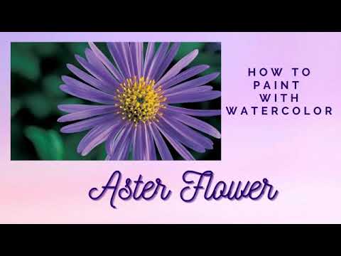 Watercolor painting for beginners : Aster flower