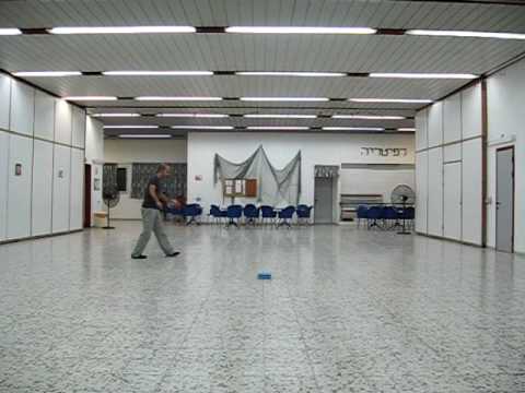 ונשגב - לימוד Venisgav - teach